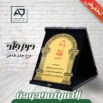 درع جلد فاخر كبير